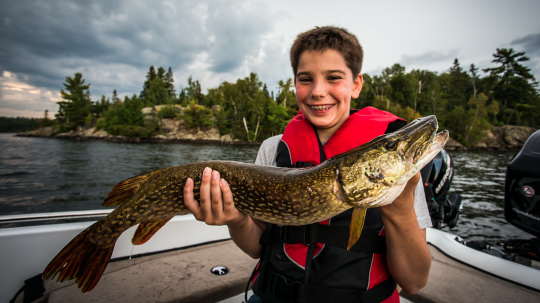 Boy proudly holding a northern on Lake Vermilion