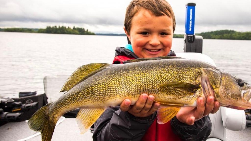Boy proudly holding walleye on Lake Vermilion