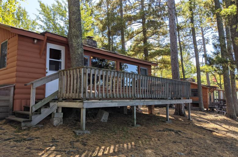 Pines and deck area with charcoal grill, picnic table, and overlooks the lake.
