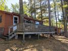 Exterior view of Pines, its deck and towering pine trees.