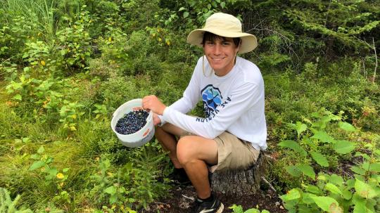 Man sitting in blueberry field