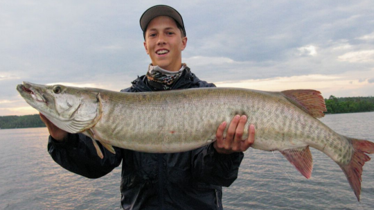 Boy holds muskie on Lake Vermilion