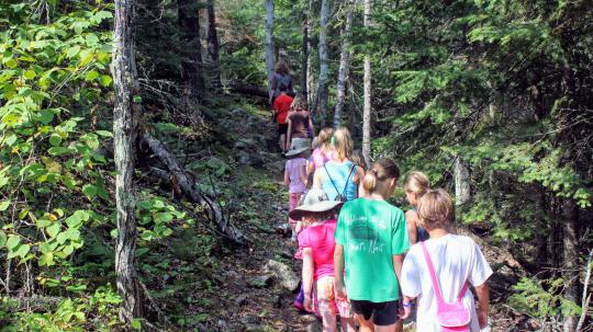 Group of children hiking