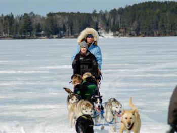 Family dogsleds on Lake Vermilion during winter