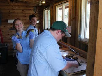 Dock staff clean fish in the Tackle Shop