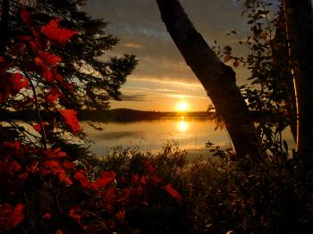 Fall leaves on Lake Vermilion