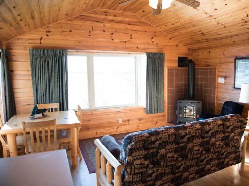 Small Log Cabin Living Room Ideas Photos Houzz