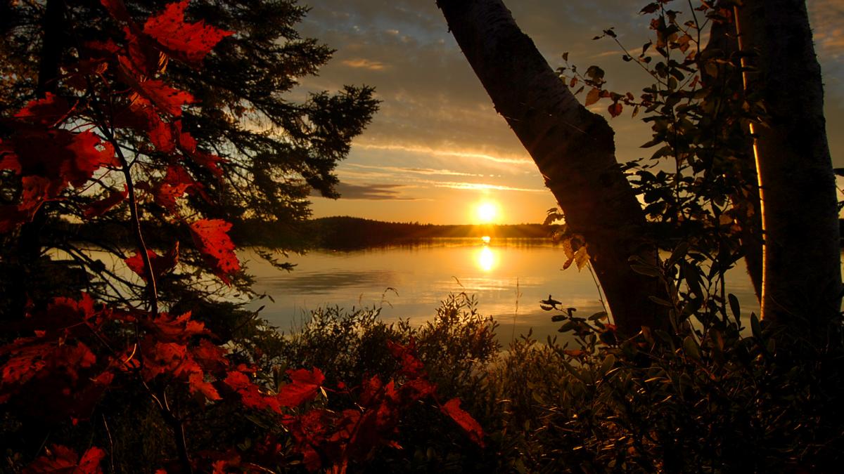 Fall leaves on Lake Vermilion