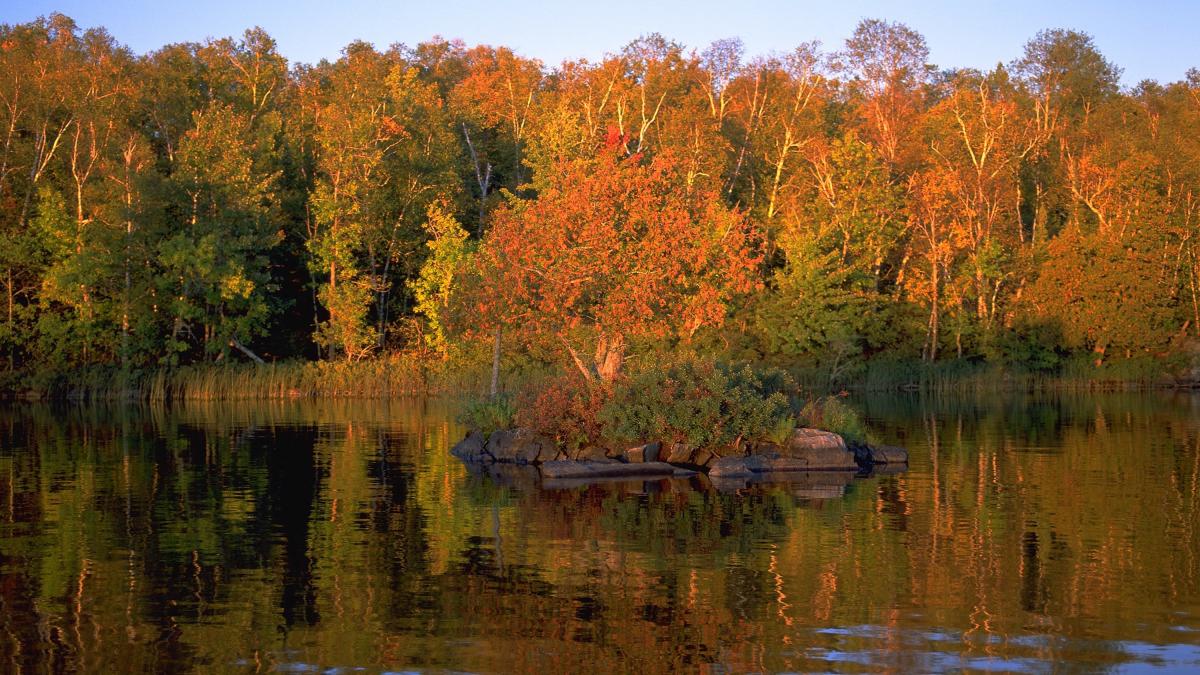 Fall colors on Lake Vermilion. 